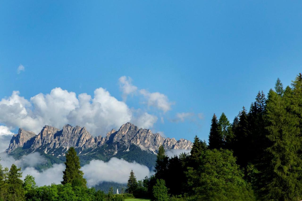 Chalet Del Capriolo Vodo Cadore Bagian luar foto